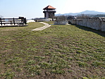 Hátsó kertből