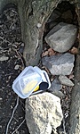 GC2500_20150321154606.jpg