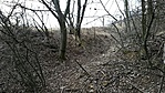 GCKL2_20150315124349.jpg