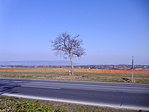 Panoráma a vendéglőtől