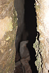 Bekukkantva