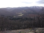 Panoráma