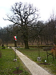 Megérkezve