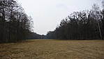 Az angolparkban