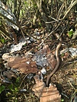 GCHHSJ_20150411163425.jpg