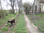 kecske