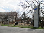 tehenek