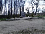 GCAORT_2015045170134.jpg