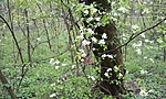 GCSZTE_2015044165415.jpg