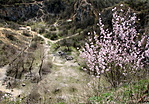 Tavasz