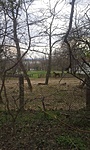 GCCSV_2015047164302.jpg