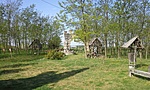 GCbuga_20150427090249.jpg