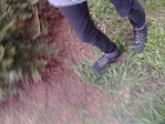 GCKIVA_2015046125258.jpg
