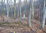 2014