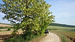 Itt van
