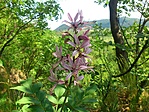 Úton
