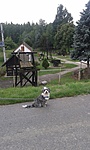 GCVEHe_20150524120130.jpg
