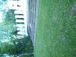 GCEGET_20150512191522.jpg