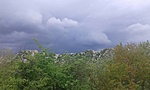 GCBELK_20150510143206.jpg