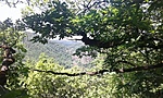 GCMAJO_20150529130502.jpg