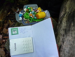 A láda és a logbook