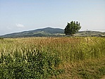 GCBoKe_20150614175320.jpg