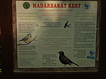 Madárbarát kert