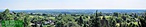 Panoráma
