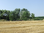 Kaptár