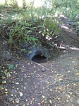 A rókalyukak