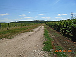 A 2. pont közelében