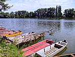 Alpári-Holt-Tisza