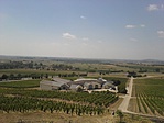kilátás