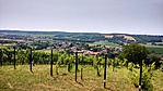Panoráma a szőlőhegyről