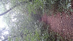 GCSZTE_2015084090416.jpg