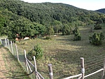 1.