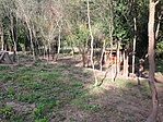 5.