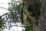 GCzebi_20150820134414.jpg