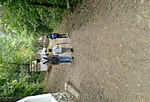GCzebi_20150820134609.jpg