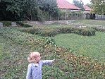 Romkert