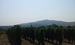 GCBoKe_20150815112947.jpg