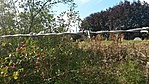 GCrtv_20150823162757.jpg
