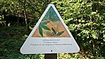 GCGESZ_20150813100753.jpg