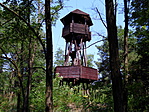 Kilátó az arborétum területén