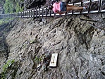 GCSuch_20150813112135.jpg