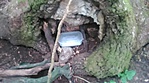GCFON1_20150820122901.jpg