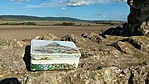 GCTORT_2015096164007.jpg