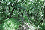 A kilátó