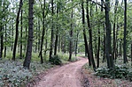 Hárskút felől