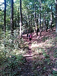 GCInoc_20150912123349.jpg